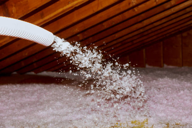Best Eco-Friendly Insulation in Warren, MN