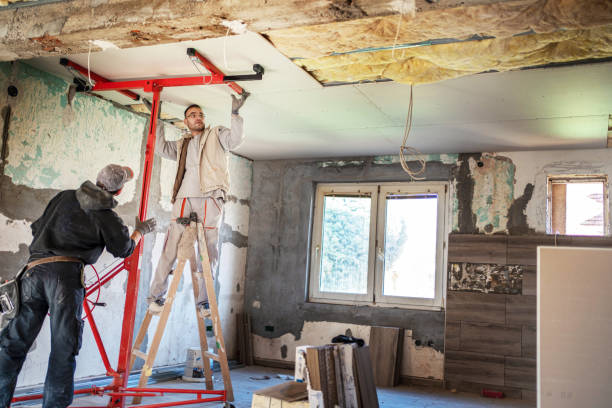 Best Geographic-Specific Insulation Services in Warren, MN