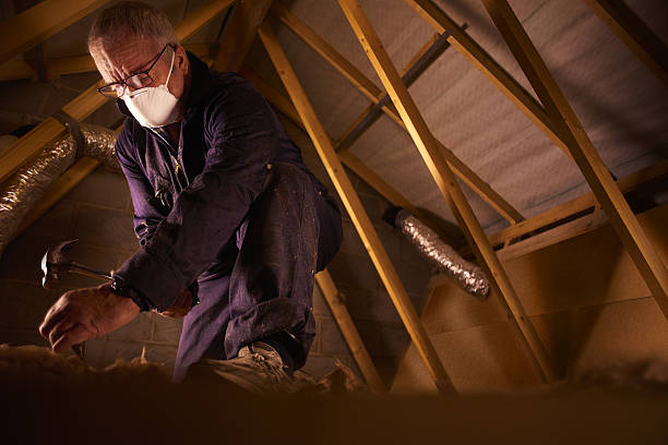  Warren, MN Insulation Contractor Pros