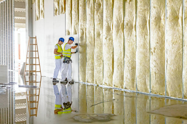 Best Spray Foam Insulation in Warren, MN